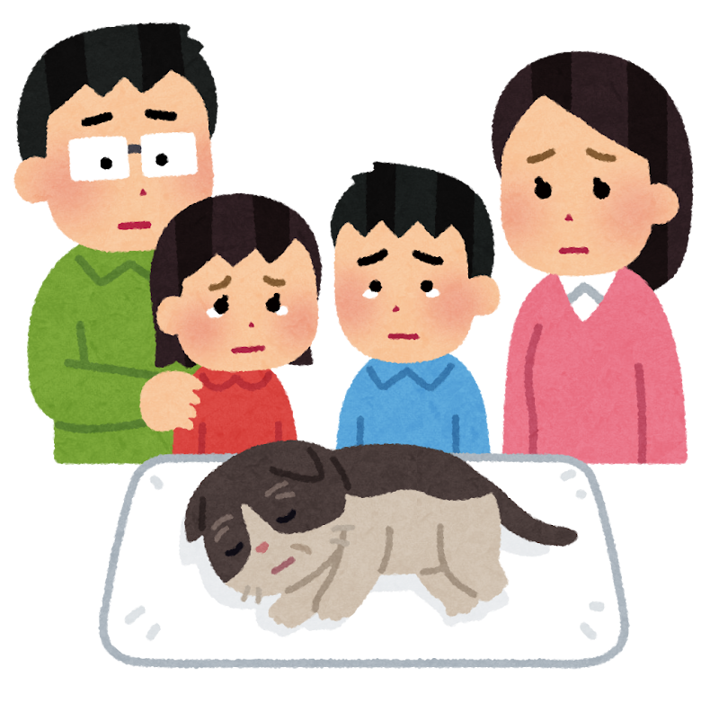やりすぎは禁物?運動や対策の落とし穴